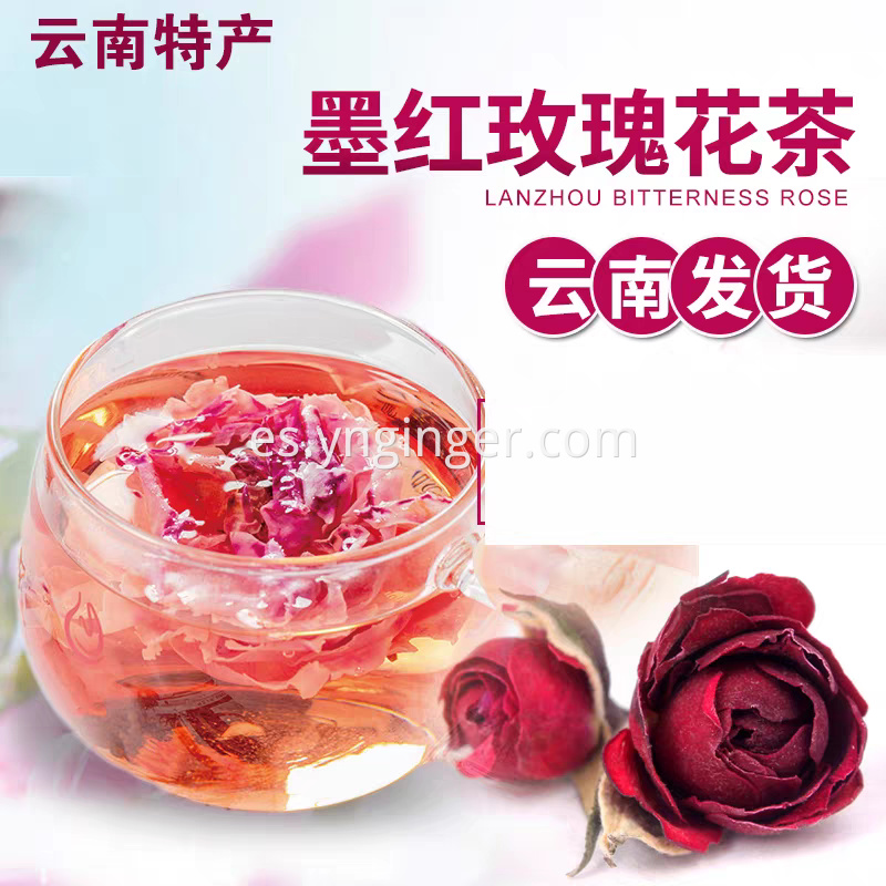 Crimson Glory Rose